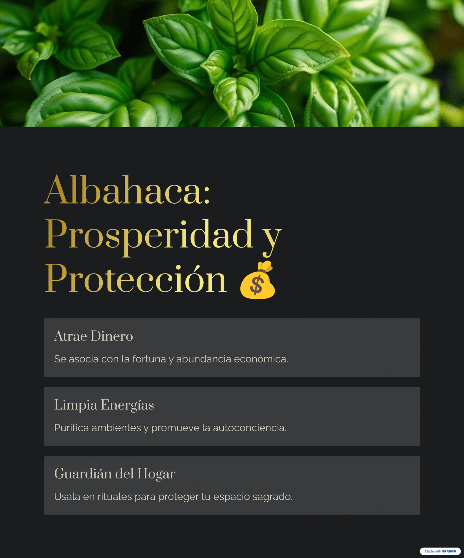 Albahaca mágica para prosperidad y protección