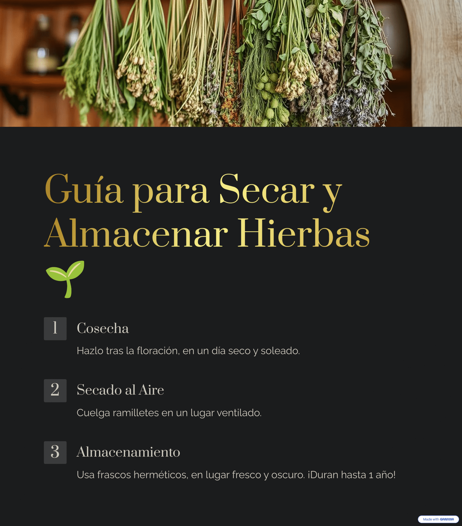 Guía para secar y almacenar hierbas mágicas